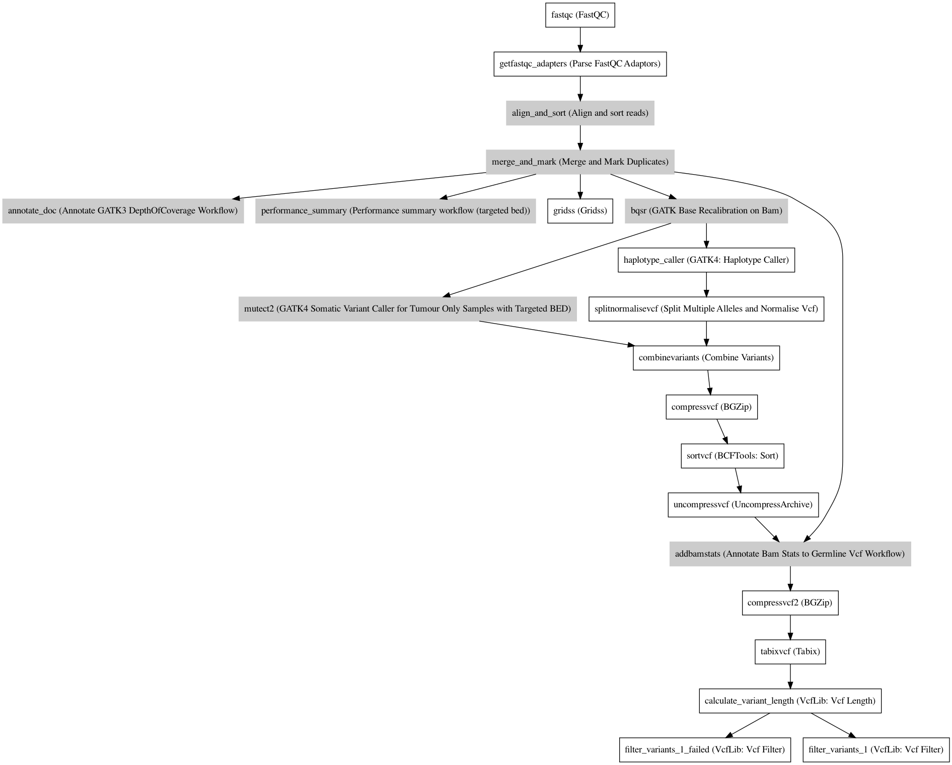 ../../../_images/MolpathTumorOnlyWorkflow_v1_0_0.dot.png