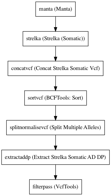 ../../../_images/strelkaSomaticVariantCaller_v0_1_1.dot.png