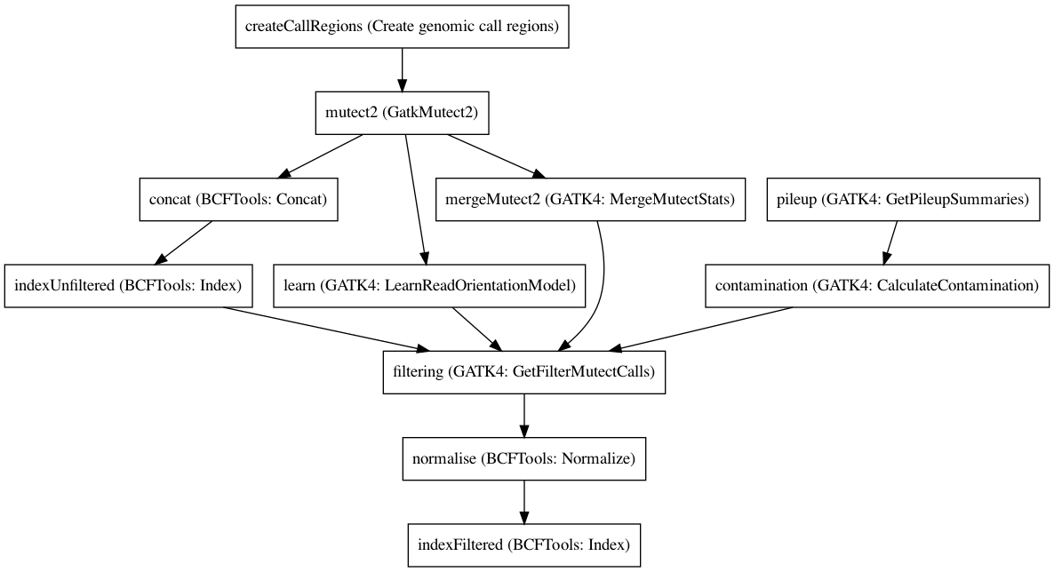 ../../../_images/Mutect2JointSomaticWorkflowCram_0_1_1.dot.png